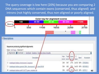 “Query cover” tells what percentage of the alignment is a good
match to your input sequence (query).
Note that the query is more than 2750 nucleotides long.
43
 