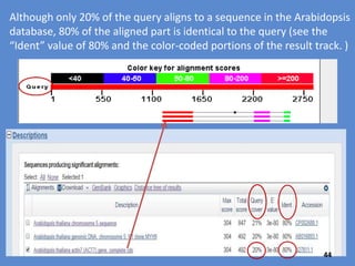 The query coverage is low here (20%) because you are comparing 2
DNA sequences which contain exons (conserved, thus aligned) and
introns (not highly conserved, thus non-aligned or poorly aligned.
44
 