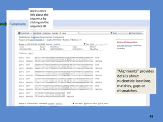 Although only 20% of the query aligns to a sequence in the Arabidopsis
database, 80% of the aligned part is identical to the query (see the
“Ident” value of 80% and the color-coded portions of the result track. )
45
 