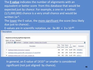 “Alignments” provides
details about
nucleotide locations,
matches, gaps or
mismatches.
Access more
info about the
sequence by
clicking on the
sequence ID
46
 