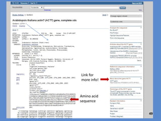 Results are arranged in a default setting from lowest E-value to
highest. Compare the E-value, Query cover and % identity for the
checked “hits”.
Which GENE is most similar to the human ACTA1 sequence query?
Click on the
accession number
for more
information about
the gene that had
the most significant
alignment
49
 