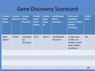 1. Pick a human gene which you
think is highly conserved
between plants and animals.
2. Follow the procedure you just
learned to see if a similar
Arabidopsis version exists.
3. Record your info on the
scorecard.
4. Repeat for a gene that you
predict is unique to humans.
53
 