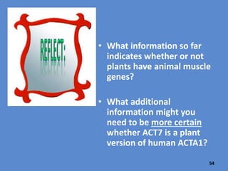 Human
Gene
Name
Human
Gene ID
Human
Gene
Function
Arabid
opsis
Gene
Name
Arabid
opsis
Gene
ID
Arabidopsis
Gene
Function
Out-come
evidence :
Score, E-value,
Similar
Function,
Predic-
tion?
Actin
alpha 1
ACTA1 Cytoskele
tal
structure
ACT7 Actin 7 Cytoskeletal
structure
E value was
1e-80, not
random, both
have similar
functions….
Yes
Gene Discovery Scorecard
54
 