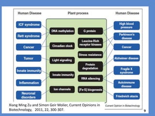 Can plants really be used as models
for studying human diseases?
9
 