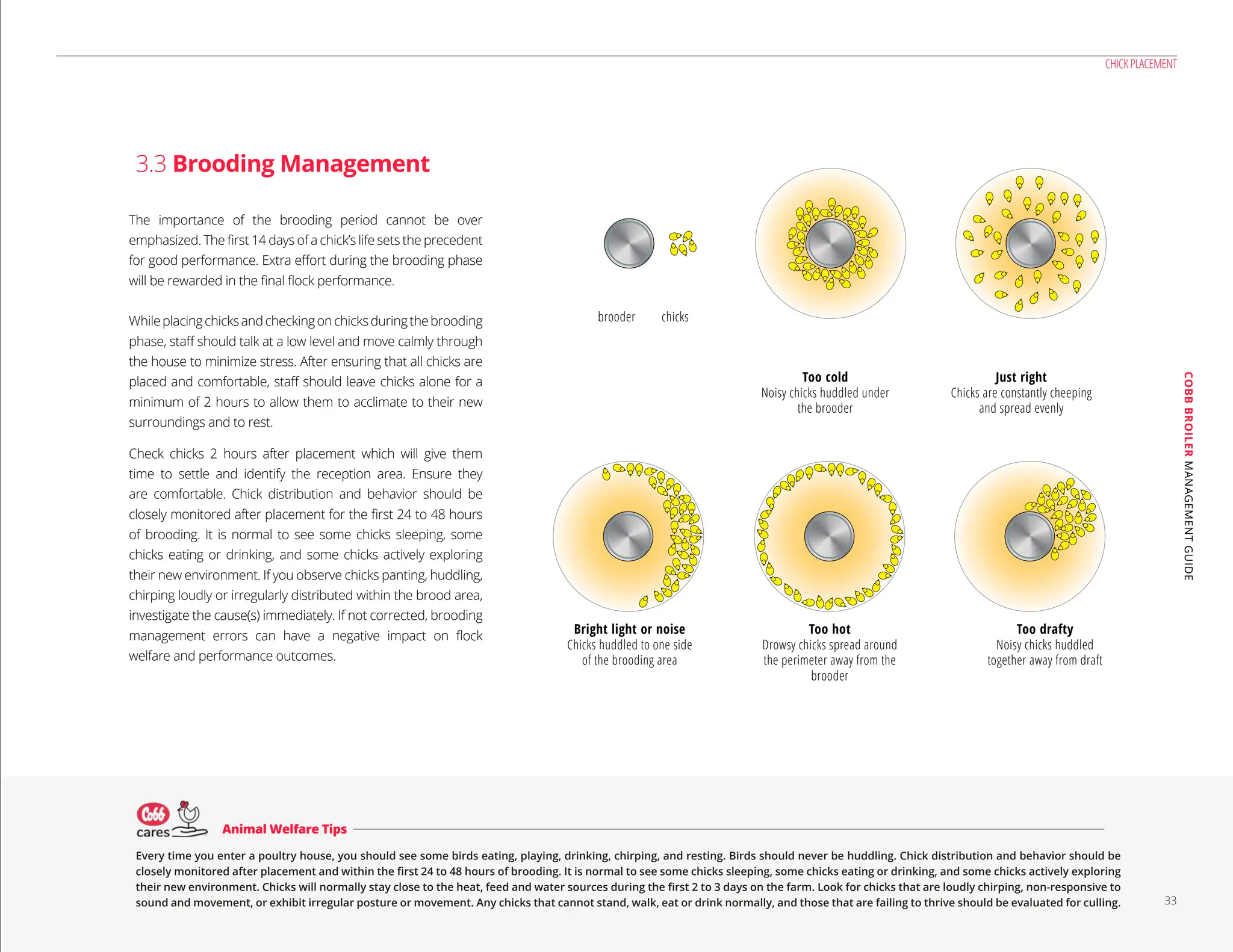 Cobb Broiler- Managment Guide_English-2021-min.pdf