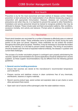 COBB Broiler Management Guide
11. Bird Health
Prevention is by far the most economical and best method of disease control. Disease
prevention is best achieved by the implementation of an effective biosecurity program in
conjunction with appropriate immunization. However, diseases can overcome these
precautions and when they do, it is important to prevent the spread to other flocks/farms.
Caretakers and service personnel should be trained to recognize problems that may be
attributed to disease. These include water and feed consumption patterns, litter conditions,
excessive mortality, bird activity and behavior. Prompt action to address the problem is
essential.
11.1 Vaccination
Parent stock breeders are vaccinated for a number of diseases to effectively pass on maternal
antibodies to broiler chicks. These antibodies serve to protect the chicks during the early
portion of the grow out period. However, these antibodies do not protect the broilers
throughout the entire grow-out period. Therefore, it may be necessary to vaccinate the broilers
either in the hatchery or in the field to prevent certain diseases. The timing of vaccinations
should be based upon the level of expected maternal antibody, the disease in question and
current field challenges.
The success of a broiler vaccination program is contingent upon properly administering the
vaccines. Specific recommendations for vaccine applications should be obtained from vaccine
suppliers, as these supplier recommendations may be different from the following general
guidelines.
1. General vaccine handling procedures
• Ensure that vaccines are stored at the manufacturer’s recommended temperature
(2-8°C/36-46°F).
• Prepare vaccine and stabilizer mixture in clean containers free of any chemicals,
disinfectants, cleaners or organic materials.
• Record vaccine product type, serial number and expiration date on pen charts or some
other permanent flock record.
• Open each vial of vaccine while submerged under the water-stabilizer mixture.
114 COBB
 