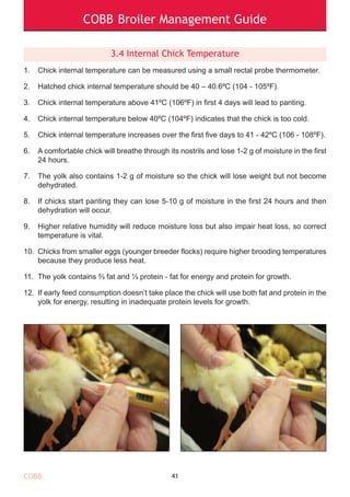 Cobb broiler management guide eng-2018 | PDF