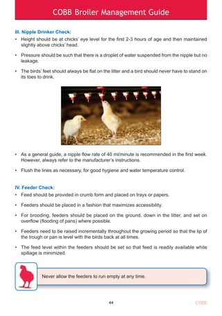 COBB Broiler Management Guide
COBB
III. Nipple Drinker Check:
• Height should be at chicks’ eye level for the first 2-3 hours of age and then maintained
slightly above chicks’ head.
• Pressure should be such that there is a droplet of water suspended from the nipple but no
leakage.
• The birds’ feet should always be flat on the litter and a bird should never have to stand on
its toes to drink.
• As a general guide, a nipple flow rate of 40 ml/minute is recommended in the first week.
However, always refer to the manufacturer’s instructions.
• Flush the lines as necessary, for good hygiene and water temperature control.
IV. Feeder Check:
• Feed should be provided in crumb form and placed on trays or papers.
• Feeders should be placed in a fashion that maximizes accessibility.
• For brooding, feeders should be placed on the ground, down in the litter, and set on
overflow (flooding of pans) where possible.
• Feeders need to be raised incrementally throughout the growing period so that the lip of
the trough or pan is level with the birds back at all times.
• The feed level within the feeders should be set so that feed is readily available while
spillage is minimized.
44
Never allow the feeders to run empty at any time.
 