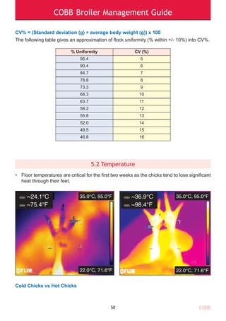 COBB Broiler Management Guide
CV% = (Standard deviation (g) ÷ average body weight (g)) x 100
The following table gives an approximation of flock uniformity (% within +/- 10%) into CV%.
5.2 Temperature
• Floor temperatures are critical for the first two weeks as the chicks tend to lose significant
heat through their feet.
Cold Chicks vs Hot Chicks
50
% Uniformity CV (%)
95.4 5
90.4 6
84.7 7
78.8 8
73.3 9
68.3 10
63.7 11
58.2 12
55.8 13
52.0 14
49.5 15
46.8 16
min ~24.1°C
min ~75.4°F
35.0°C, 95.0°F 35.0°C, 95.0°F
22.0°C, 71.6°F 22.0°C, 71.6°F
min ~36.9°C
min ~98.4°F
COBB
 