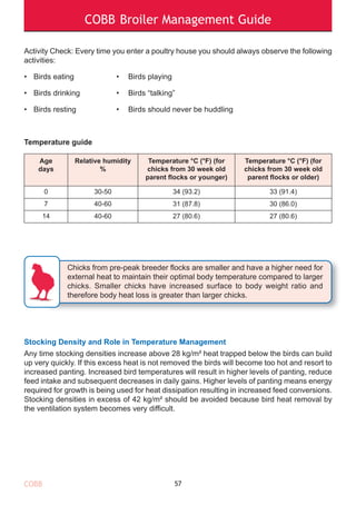 COBB Broiler Management Guide
Activity Check: Every time you enter a poultry house you should always observe the following
activities:
• Birds eating • Birds playing
• Birds drinking • Birds “talking”
• Birds resting • Birds should never be huddling
Temperature guide
57
Age
days
Relative humidity
%
Temperature °C (°F) (for
chicks from 30 week old
parent flocks or younger)
Temperature °C (°F) (for
chicks from 30 week old
parent flocks or older)
0 30-50 34 (93.2) 33 (91.4)
7 40-60 31 (87.8) 30 (86.0)
14 40-60 27 (80.6) 27 (80.6)
Chicks from pre-peak breeder flocks are smaller and have a higher need for
external heat to maintain their optimal body temperature compared to larger
chicks. Smaller chicks have increased surface to body weight ratio and
therefore body heat loss is greater than larger chicks.
Stocking Density and Role in Temperature Management
Any time stocking densities increase above 28 kg/m² heat trapped below the birds can build
up very quickly. If this excess heat is not removed the birds will become too hot and resort to
increased panting. Increased bird temperatures will result in higher levels of panting, reduce
feed intake and subsequent decreases in daily gains. Higher levels of panting means energy
required for growth is being used for heat dissipation resulting in increased feed conversions.
Stocking densities in excess of 42 kg/m² should be avoided because bird heat removal by
the ventilation system becomes very difficult.
COBB
 