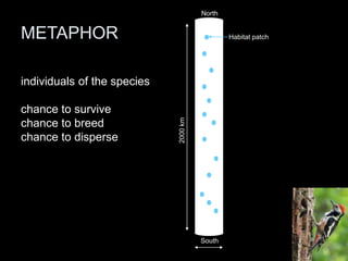North


METAPHOR                                       Habitat patch




individuals of the species

chance to survive




                             2000 km
chance to breed
chance to disperse




                                       South
 