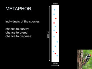 North


METAPHOR

individuals of the species

chance to survive




                             2000 km
chance to breed
chance to disperse




                                       South
 