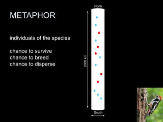 North


METAPHOR

individuals of the species

chance to survive




                             2000 km
chance to breed
chance to disperse




                                       South
 