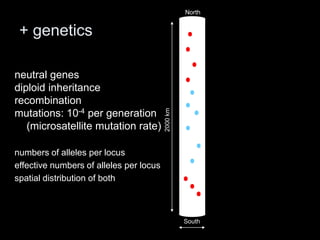 North


 + genetics

neutral genes
diploid inheritance
recombination




                                         2000 km
mutations: 10-4 per generation
   (microsatellite mutation rate)

numbers of alleles per locus
effective numbers of alleles per locus
spatial distribution of both



                                                   South
 