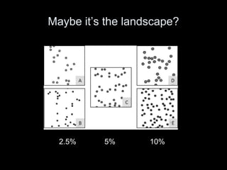 Maybe it’s the landscape?




  2.5%    5%       10%
 