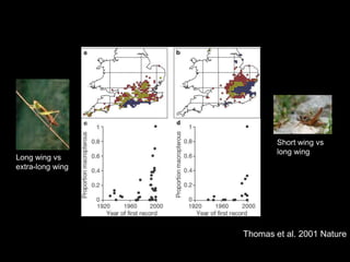 Short wing vs
                          long wing
Long wing vs
extra-long wing




                  Thomas et al. 2001 Nature
 
