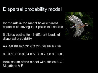 Dispersal probability model

Individuals in the model have different
chances of leaving their patch to disperse

6 alleles coding for 11 different levels of
dispersal probability

AA AB BB BC CC CD DD DE EE EF FF

0.0 0.1 0.2 0.3 0.4 0.5 0.6 0.7 0.8 0.9 1.0

Initialisation of the model with alleles A-C
Mutations A-F
 