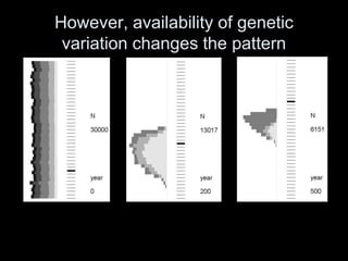 However, availability of genetic
 variation changes the pattern
 