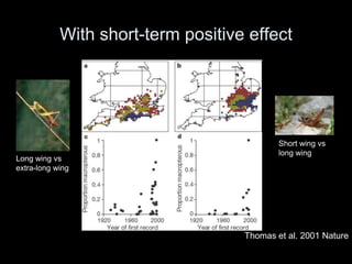 With short-term positive effect




                                            Short wing vs
                                            long wing
Long wing vs
extra-long wing




                                    Thomas et al. 2001 Nature
 