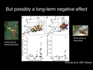 But possibly a long-term negative effect




                                     Short wing vs
                                     long wing
Long wing vs
extra-long wing




                             Thomas et al. 2001 Nature
 