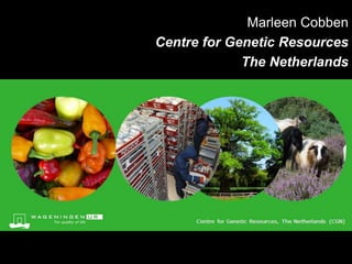 Marleen Cobben
        Centre for Genetic Resources
                     The Netherlands


CGN, met goede opmaak
 