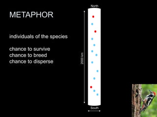 Centre for Genetic Resources  The Netherlands