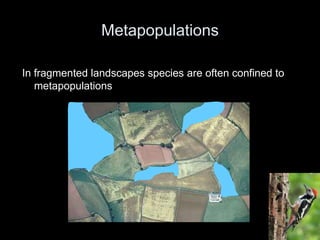Centre for Genetic Resources  The Netherlands