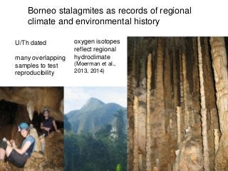 Borneo stalagmites as records of regional
climate and environmental history
U/Th dated
many overlapping
samples to test
reproducibility
oxygen isotopes
reflect regional
hydroclimate
(Moerman et al.,
2013, 2014)
 