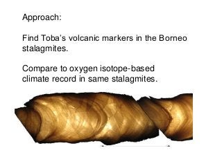 Approach:
Find Toba’s volcanic markers in the Borneo
stalagmites.
Compare to oxygen isotope-based
climate record in same stalagmites.
AB
 