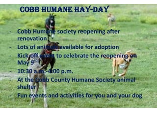 COBB HUMANE HAY-DAY
     COBB HUMANE HAY-DAY
- Cobb Humane society reopening after
  renovation
- Lots of animals available for adoption
- Kick-off event to celebrate the reopening on
  May 9
- 10:30 a.m.-4:00 p.m.
- At the Cobb County Humane Society animal
  shelter
- Fun events and activities for you and your dog
 