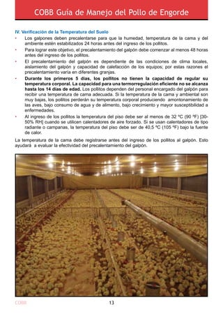 COBB Guía de Manejo del Pollo de Engorde
COBB 13
Los galpones deben precalentarse para que la humedad, temperatura de la cama y del
ambiente estén estabilizados 24 horas antes del ingreso de los pollitos.
Para lograr este objetivo, el precalentamiento del galpón debe comenzar al menos 48 horas
antes del ingreso de los pollitos.
El precalentamiento del galpón es dependiente de las condiciones de clima locales,
aislamiento del galpón y capacidad de calefacción de los equipos; por estas razones el
precalentamiento varía en diferentes granjas.
Durante los primeros 5 días, los pollitos no tienen la capacidad de regular su
temperatura corporal. La capacidad para una termorregulación eficiente no se alcanza
hasta los 14 días de edad. Los pollitos dependen del personal encargado del galpón para
recibir una temperatura de cama adecuada. Si la temperatura de la cama y ambiental son
muy bajas, los pollitos perderán su temperatura corporal produciendo amontonamiento de
las aves, bajo consumo de agua y de alimento, bajo crecimiento y mayor susceptibilidad a
enfermedades.
Al ingreso de los pollitos la temperatura del piso debe ser al menos de 32 ºC (90 ºF) [30-
50% RH] cuando se utilicen calentadores de aire forzado. Si se usan calentadores de tipo
radiante o campanas, la temperatura del piso debe ser de 40,5 ºC (105 ºF) bajo la fuente
de calor.
•
•
•
•
•
Iv. Verificación de la Temperatura del Suelo
La temperatura de la cama debe registrarse antes del ingreso de los pollitos al galpón. Esto
ayudará a evaluar la efectividad del precalentamiento del galpón.
 