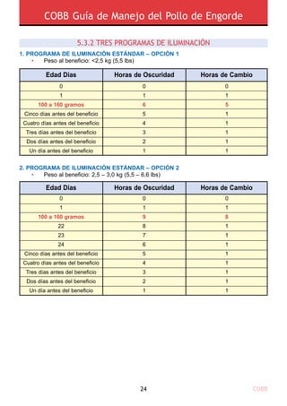 COBB24
COBB Guía de Manejo del Pollo de Engorde
5.3.2 TRES PROGRAMAS DE ILUMINACIÓN
Edad Días Horas de Oscuridad Horas de Cambio
0
1
6
5
4
3
2
1
0
1
5
1
1
1
1
1
0
1
100 a 160 gramos
Cinco días antes del beneficio
Cuatro días antes del beneficio
Tres días antes del beneficio
Dos días antes del beneficio
Un día antes del beneficio
2. PROGRAMA DE ILUMINACIÓN ESTÁNDAR – OPCIÓN 2
	 •	 Peso al beneficio: 2,5 – 3,0 kg (5,5 – 6,6 lbs)
Edad Días Horas de Oscuridad Horas de Cambio
0
1
9
8
7
6
5
4
3
2
1
0
1
8
1
1
1
1
1
1
1
1
0
1
100 a 160 gramos
22
23
24
Cinco días antes del beneficio
Cuatro días antes del beneficio
Tres días antes del beneficio
Dos días antes del beneficio
Un día antes del beneficio
1. PROGRAMA DE ILUMINACIÓN ESTÁNDAR – OPCIÓN 1
	 •	 Peso al beneficio: <2,5 kg (5,5 lbs)
 