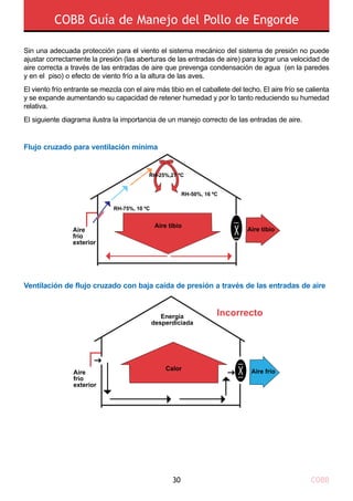 COBB Guía de Manejo del Pollo de Engorde
COBB30
Sin una adecuada protección para el viento el sistema mecánico del sistema de presión no puede
ajustar correctamente la presión (las aberturas de las entradas de aire) para lograr una velocidad de
aire correcta a través de las entradas de aire que prevenga condensación de agua (en la paredes
y en el piso) o efecto de viento frío a la altura de las aves.
El viento frío entrante se mezcla con el aire más tibio en el caballete del techo. El aire frío se calienta
y se expande aumentando su capacidad de retener humedad y por lo tanto reduciendo su humedad
relativa.
El siguiente diagrama ilustra la importancia de un manejo correcto de las entradas de aire.
Flujo cruzado para ventilación mínima
RH-75%, 10 ºC
RH-50%, 16 ºC
Aire tibio
Aire
frío
exterior
X Aire tibio
RH-25%,27 ºC
Energía
desperdiciada
Incorrecto
Aire
frío
exterior
XCalor Aire frío
Ventilación de flujo cruzado con baja caída de presión a través de las entradas de aire
 