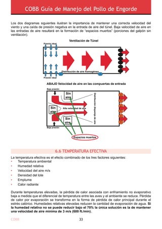 COBB 33
COBB Guía de Manejo del Pollo de Engorde
Los dos diagramas siguientes ilustran la importancia de mantener una correcta velocidad del
viento y una caída de presión negativa en la entrada de aire del túnel. Baja velocidad de aire en
las entradas de aire resultará en la formación de “espacios muertos” (porciones del galpón sin
ventilación).
La temperatura efectiva es el efecto combinado de los tres factores siguientes:
•	 Temperatura ambiental
•	 Humedad relativa
•	 Velocidad del aire m/s
•	 Densidad del lote
•	 Emplume
•	 Calor radiante
Durante temperaturas elevadas, la pérdida de calor asociada con enfriamiento no evaporativo
baja a medida que el diferencial de temperatura entre las aves y el ambiente se reduce. Pérdida
de calor por evaporación se transforma en la forma de pérdida de calor principal durante el
estrés calórico. Humedades relativas elevadas reducen la cantidad de evaporación de agua. Si
la humedad relativa no se puede reducir bajo el 70% la única solución es la de mantener
una velocidad de aire mínima de 3 m/s (600 ft./min).
6.6 Temperatura efectiva
Ventilación de Túnel
ABAJO Velocidad de aire en las compuertas de entrada
Distribución de aire homogénea
Presión ideal
Presión ideal
Baja presión
Baja presión
Distribucióndisparejadeaire
Espacios muertos
Alta velocidad de aire
Sin
aire
Sin
aire
Sin
aire
 