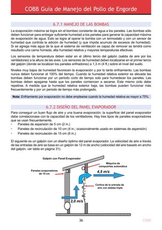 COBB Guía de Manejo del Pollo de Engorde
COBB36
La evaporación máxima se logra sin el bombeo constante de agua a los paneles. Las bombas sólo
deben funcionar para entregar suficiente humedad a los paneles para generar la capacidad máxima
de evaporación de agua. Esto se logra al operar la bomba con un termostato y con un sensor de
humedad que controla la adición de humedad (y que impida acumulo de excesos de humedad).
Si se agrega más agua de la que el sistema de ventilación es capaz de remover se tendrá como
resultado una cama húmeda, alta humedad relativa y mayores temperaturas efectivas.
Los sensores de temperatura deben estar en el último tercio del galpón (salida de aire por los
ventiladores) a la altura de las aves. Los sensores de humedad deben localizarse en el primer tercio
del galpón (donde se localizan los paneles enfriadores) a 1,3 m (4 ft.) sobre el nivel del suelo.
Niveles muy bajos de humedad favorecen la evaporación y por lo tanto enfriamiento. Las bombas
nunca deben funcionar el 100% del tiempo. Cuando la humedad relativa exterior es elevada las
bombas deben funcionar por un periodo corto de tiempo solo para humedecer los paneles. Las
bombas deben apagarse hasta que los paneles comiencen a secarse. Este mismo ciclo debe
repetirse. A medida que la humedad relativa exterior baja, las bombas pueden funcionar más
frecuentemente y por un periodo de tiempo más prolongado.
Para conseguir un buen flujo de aire y una buena evaporación, la superficie del panel evaporador
debe correlacionase con la capacidad de los ventiladores. Hay tres tipos de paneles evaporadores
que se usan frecuentemente.
•	 Paneles de aspersión de 5 cm (2 in.)
•	 Paneles de recirculación de 10 cm (4 in.; ocasionalmente usado en sistemas de aspersión)
•	 Paneles de recirculación de 15 cm (6 in.)
El siguiente es un galpón con un diseño óptimo del panel evaporador. La velocidad de aire a través
de las entradas de aire se basa en un galpón de 12 m de ancho (velocidad del aire basado en ancho
del galpón, ver tabla en página 31).
6.7.1 MANEJO DE LAS BOMBAS
6.7.2 DISEÑO DEL PANEL EVAPORADOR
Nota: Enfriamiento por evaporación no debe emplearse cuando la humedad relativa es mayor a 75%.
Galpón con Panel Evaporador
Paneles evaporadores
de 15 cm
Máquina de
compuertas automática
Cortina de la entrada de
aire con doblez triple
2,0 m/s
4,5 m/s
 
