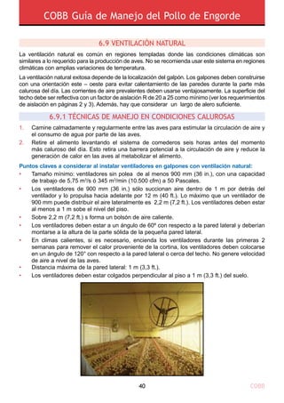 COBB Guía de Manejo del Pollo de Engorde
COBB40
La ventilación natural es común en regiones templadas donde las condiciones climáticas son
similares a lo requerido para la producción de aves. No se recomienda usar este sistema en regiones
climáticas con amplias variaciones de temperatura.
La ventilación natural exitosa depende de la localización del galpón. Los galpones deben construirse
con una orientación este – oeste para evitar calentamiento de las paredes durante la parte más
calurosa del día. Las corrientes de aire prevalentes deben usarse ventajosamente. La superficie del
techo debe ser reflectiva con un factor de aislación R de 20 a 25 como mínimo (ver los requerimientos
de aislación en páginas 2 y 3). Además, hay que considerar un largo de alero suficiente.
Puntos claves a considerar al instalar ventiladores en galpones con ventilación natural:
6.9 VENTILACIÓN NATURAL
6.9.1 TÉCNICAS DE MANEJO EN CONDICIONES CALUROSAS 
1.
2.
Camine calmadamente y regularmente entre las aves para estimular la circulación de aire y
el consumo de agua por parte de las aves.
Retire el alimento levantando el sistema de comederos seis horas antes del momento
más caluroso del día. Esto retira una barrera potencial a la circulación de aire y reduce la
generación de calor en las aves al metabolizar el alimento.
Tamaño mínimo: ventiladores sin polea de al menos 900 mm (36 in.), con una capacidad
de trabajo de 5,75 m3
/s ó 345 m3
/min (10.500 cfm) a 50 Pascales.
Los ventiladores de 900 mm (36 in.) sólo succionan aire dentro de 1 m por detrás del
ventilador y lo propulsa hacia adelante por 12 m (40 ft.). Lo máximo que un ventilador de
900 mm puede distribuir el aire lateralmente es 2,2 m (7,2 ft.). Los ventiladores deben estar
al menos a 1 m sobe el nivel del piso.
Sobre 2,2 m (7,2 ft.) s forma un bolsón de aire caliente.
Los ventiladores deben estar a un ángulo de 60º con respecto a la pared lateral y deberían
montarse a la altura de la parte sólida de la pequeña pared lateral.
En climas calientes, si es necesario, encienda los ventiladores durante las primeras 2
semanas para remover el calor proveniente de la cortina, los ventiladores deben colocarse
en un ángulo de 120° con respecto a la pared lateral o cerca del techo. No genere velocidad
de aire a nivel de las aves.
Distancia máxima de la pared lateral: 1 m (3,3 ft.).
Los ventiladores deben estar colgados perpendicular al piso a 1 m (3,3 ft.) del suelo.
•
•
•
•
•
•
•
 
