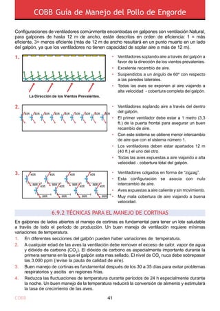 COBB 41
COBB Guía de Manejo del Pollo de Engorde
•
•
•
•
•
•
•
•
•
Ventiladores soplando aire a través del dentro
del galpón.
El primer ventilador debe estar a 1 metro (3,3
ft.) de la puerta frontal para asegurar un buen
recambio de aire.
Con este sistema se obtiene menor intercambio
de aire que con el sistema número 1.
Los ventiladores deben estar apartados 12 m
(40 ft.) el uno del otro.
Todas las aves expuestas a aire viajando a alta
velocidad - cobertura total del galpón.
Ventiladores colgados en forma de “zigzag”.
Esta configuración se asocia con nulo
intercambio de aire.
Aves expuestas a aire caliente y sin movimiento.
Muy mala cobertura de aire viajando a buena
velocidad.
40ft 40ft 40ft 40ft 40ft 40ft 40ft 40ft 40ft
40ft 40ft 40ft 40ft
40ft 40ft 40ft 40ft
86ft 86ft 86ft 86ft
86ft 86ft 86ft 86ft
En galpones de lados abiertos el manejo de cortinas es fundamental para tener un lote saludable
a través de todo el período de producción. Un buen manejo de ventilación requiere mínimas
variaciones de temperatura.
6.9.2 TÉCNICAS PARA EL MANEJO DE CORTINAS 
En diferentes secciones del galpón pueden haber variaciones de temperatura.
A cualquier edad de las aves la ventilación debe remover el exceso de calor, vapor de agua
y dióxido de carbono (CO2
). El dióxido de carbono es especialmente importante durante la
primera semana en la que el galpón esta mas sellado. El nivel de CO2
nuca debe sobrepasar
las 3.000 ppm (revise la pauta de calidad de aire).
Buen manejo de cortinas es fundamental después de los 30 a 35 días para evitar problemas
respiratorios y ascitis en regiones frías.
Reduzca las fluctuaciones de temperatura durante períodos de 24 h especialmente durante
la noche. Un buen manejo de la temperatura reducirá la conversión de alimento y estimulará
la tasa de crecimiento de las aves.
1.
2.
3.
4.
•
•
•
•
Ventiladores soplando aire a través del galpón a
favor de la dirección de los vientos prevalentes.
Excelente recambio de aire.
Suspendidos a un ángulo de 60º con respecto
a las paredes laterales.
Todas las aves se exponen al aire viajando a
alta velocidad - cobertura completa del galpón.
La Dirección de los Vientos Prevalentes.
2.
1.
3.
Configuraciones de ventiladores comúnmente encontradas en galpones con ventilación Natural,
para galpones de hasta 12 m de ancho, están descritos en orden de eficiencia: 1 = más
eficiente, 3= menos eficiente (más de 12 m de ancho resultará en un punto muerto en un lado
del galpón, ya que los ventiladores no tienen capacidad de soplar aire a más de 12 m).
 