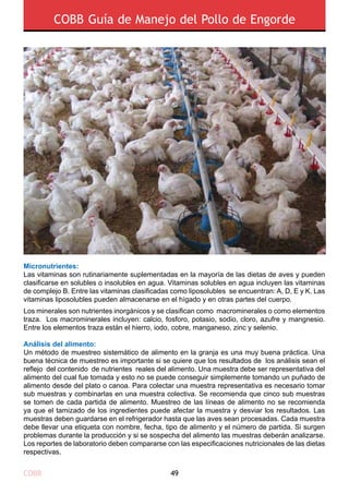 COBB 49
COBB Guía de Manejo del Pollo de Engorde
Micronutrientes:
Las vitaminas son rutinariamente suplementadas en la mayoría de las dietas de aves y pueden
clasificarse en solubles o insolubles en agua. Vitaminas solubles en agua incluyen las vitaminas
de complejo B. Entre las vitaminas clasificadas como liposolubles se encuentran: A, D, E y K. Las
vitaminas liposolubles pueden almacenarse en el hígado y en otras partes del cuerpo.
Los minerales son nutrientes inorgánicos y se clasifican como macrominerales o como elementos
traza. Los macrominerales incluyen: calcio, fosforo, potasio, sodio, cloro, azufre y mangnesio.
Entre los elementos traza están el hierro, iodo, cobre, manganeso, zinc y selenio.
Análisis del alimento:
Un método de muestreo sistemático de alimento en la granja es una muy buena práctica. Una
buena técnica de muestreo es importante si se quiere que los resultados de los análisis sean el
reflejo del contenido de nutrientes reales del alimento. Una muestra debe ser representativa del
alimento del cual fue tomada y esto no se puede conseguir simplemente tomando un puñado de
alimento desde del plato o canoa. Para colectar una muestra representativa es necesario tomar
sub muestras y combinarlas en una muestra colectiva. Se recomienda que cinco sub muestras
se tomen de cada partida de alimento. Muestreo de las líneas de alimento no se recomienda
ya que el tamizado de los ingredientes puede afectar la muestra y desviar los resultados. Las
muestras deben guardarse en el refrigerador hasta que las aves sean procesadas. Cada muestra
debe llevar una etiqueta con nombre, fecha, tipo de alimento y el número de partida. Si surgen
problemas durante la producción y si se sospecha del alimento las muestras deberán analizarse.
Los reportes de laboratorio deben compararse con las especificaciones nutricionales de las dietas
respectivas.
 