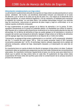 COBB Guía de Manejo del Pollo de Engorde
Alimentación complementaria con trigo entero
La alimentación suplementaria del pollo de engorde con trigo entero se está practicando en varios
países alrededor del mundo. Los beneficios observados incluyen una reducción en el costo
de alimento y por lo tanto en el costo por kg (lb) de peso vivo, una mejora en el desarrollo de la
molleja resultando en mayor eficiencia digestiva y, de ser necesario, la habilidad para manipular
la ingestión de nutrientes en una base diaria. Las posibles desventajas incluyen una reducida
tasa de crecimiento, reducciones en ganancia de peso magro y baja en uniformidad, si no se
realizan ajustes al alimento compuesto.
El trigo suplementario se puede agregar en la fábrica de alimentos o en la granja. Si bien,
agregarlo directamente en la granja es preferible debido a la flexibilidad que ofrece el sistema,
esto requiere de un sistema para proporcionar el alimento en la misma granja además de silos de
almacenaje. En la fábrica de alimentos el trigo se puede agregar en la mezcladora o durante el
cargado del camión que transporta el alimento. Agregar el trigo entero en la fábrica de alimentos
permite agregar algún tipo de procesamiento si se dispone de un molino de rodillos.
Típicamente, se agrega el trigo entero suplementario a un nivel del 1 al 5% empezando alrededor
del día 7 ó cuando las aves pesen 160 g. Esto se puede aumentar hasta el 30% haciendo
incrementos graduales del 1 al 5%. El porcentaje máximo utilizado dependerá de la calidad del
alimento compuesto, calidad del trigo, desempeño deseado y el desempeño de cada lote en
particular.
Es importante tener en cuenta el efecto de dilución al agregar el trigo entero a la dieta. Cualquier
medicación debe ser ajustada para asegurarse que las aves están recibiendo las concentraciones
adecuadas. Es importante monitorear regularmente el peso vivo de las aves para determinar el
efecto que la adición de trigo entero tiene en cada lote. El suplemento de trigo entero debe
suspenderse 48 horas antes del sacrificio para evitar la contaminación de la carcasa durante el
proceso de eviscerado.
COBB 51
 