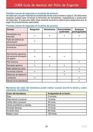 COBB54
COBB Guía de Manejo del Pollo de Engorde
Posibles causas de segundas en la planta de proceso:
Se debe dar una gran importancia al bienestar de las aves durante la captura. Se debe tener
especial cuidado para minimizar la formación de hematomas, magulladuras y producción
de segundas. El supervisor debe estar presente durante la captura para asegurarse que se
sigan los procedimientos adecuados.
Posibles causas de segundas en la planta de proceso:
Monitoreo del color del hematoma puede indicar cuando ocurrió la lesión y como
solucionar el problema.
Causas
Color del hematoma	
Rojo
Rojo oscuro y purpura
Verde claro y purpura	
Verde amarillento y naranja	
Amarillo Naranja	
Amarillo claro
Negro y azul	
Antigüedad de la lesión
2 minutos
12 horas
36 horas
48 horas
72 horas
96 horas
120 horas
Rasguños Hematomas Extremidades
quebradas
•
•
•
• • •
• •
• • •
• •
•
•
• •
• • •
•
•
Ampoyas
pechuga/patas
Densidades muy
elevadas
Falla del sistema de
alimentación
Movimientos agresivos
del personal encargado
del galpón
Mal emplume
Recogida agresiva
Mala calidad de cama
Incorrecta nutrición
Máquinas de desplume
Ventilación
Manejo de los bebederos
Incorrecto programa de
iluminación
 