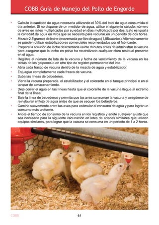 COBB 61
COBB Guía de Manejo del Pollo de Engorde
Calcule la cantidad de agua necesaria utilizando el 30% del total de agua consumida el
día anterior. Si no dispone de un medidor de agua, utilice el siguiente cálculo: número
de aves en miles multiplicadas por su edad en días multiplicada por dos. Esto es igual a
la cantidad de agua en litros que se necesita para vacunar en un periodo de dos horas.
Mezcle2,5gramosdelechedescremadaporlitrodeagua(1,05cuartos).Alternativamente
se pueden utilizar estabilizadores comerciales recomendados por el fabricante.
Prepare la solución de leche descremada veinte minutos antes de administrar la vacuna
para asegurar que la leche en polvo ha neutralizado cualquier cloro residual presente
en el agua.
Registre el número de lote de la vacuna y fecha de vencimiento de la vacuna en las
tablas de los galpones o en otro tipo de registro permanente del lote.
Abra cada frasco de vacuna dentro de la mezcla de agua y estabilizador.
Enjuague completamente cada frasco de vacuna.
Suba las líneas de bebederos.
Vierta la vacuna preparada, el estabilizador y el colorante en el tanque principal o en el
tanque de almacenamiento.
Deje correr el agua en las líneas hasta que el colorante de la vacuna llegue al extremo
final de la línea.
Baje la línea de bebederos y permita que las aves consuman la vacuna y asegúrese de
reinstaurar el flujo de agua antes de que se sequen los bebederos.
Camine suavemente entre las aves para estimular el consumo de agua y para lograr un
consumo más uniforme.
Anote el tiempo de consumo de la vacuna en los registros y anote cualquier ajuste que
sea necesario para la siguiente vacunación en lotes de edades similares que utilicen
equipos similares, para lograr que la vacuna se consuma en un período de 1 a 2 horas.
•
•
•
•
•
•
•
•
•
•
•
•
 