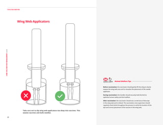 Cobb Vaccination Guide 20255555555555555 | PDF