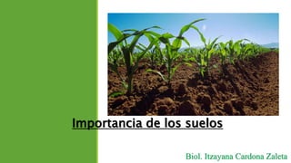 Importancia de los suelos
Biol. Itzayana Cardona Zaleta
 
