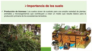 importancia de los suelos en la vida y el planeta | PPTX