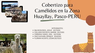 Cobertizo para
Camélidos en la Zona
Huayllay, Pasco-PERU
BALDEON RIOS, JOSUE 20170295
COLLADO PACHECO, NADINE 20170301
CORDOVA TADEO, JOEL 20170298
DIAZ GUEVARA, RONALD 20160302
FLORIAN VICENTE, CÉSAR 20170315
INTEGRANTES:
 