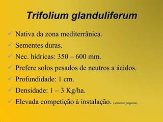T. brachycalcycinum(adaptado a solos alcalinos).Trifoliumsubterraneum Nec. hídricas: 350 – 1200 mm.