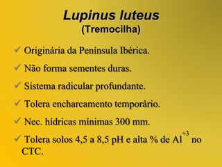  Densidades: 10 a 15 kg/ha. (monocultura)				3 a 6 kg/ha. (c/ graminea) Fixa: 50 a 188 kg/ha. (Austrália)		    104 a 206 kg/ha. (E.U.A.) Sensibilidade: Oídio.Trifolium subterraneum