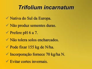  Apresenta sementes duras.