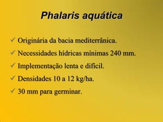  Fixa: 15 a 40 kg/ha.