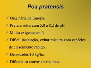 Não lhe são conhecidas sensibilidades.Ornithopuscompressus(Serradela)